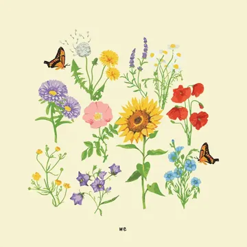 be-cover