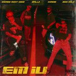 Em iu-cover