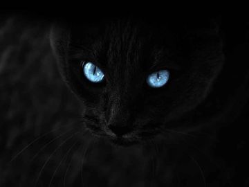 coveImg