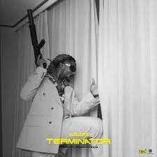 Terminator-cover