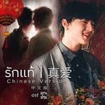 รักแท้ 真爱  (เพลงจากละคร คุณชาย)(CHINESE VERSION 中文版)-cover