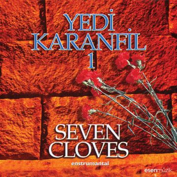 Hoşçakal Kardeşim Deniz-cover