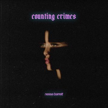 counting crimes-cover