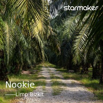 Nookie-cover