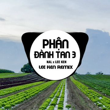 Phận Đành Tan 3 (Remix)-cover