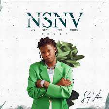 NSNV-cover