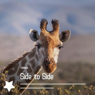 side to side-cover