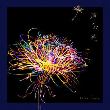 蒲公英-cover
