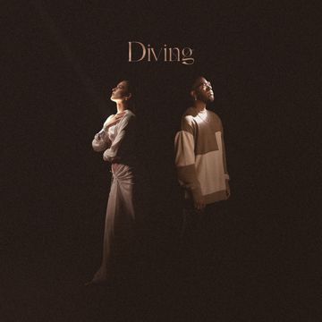 Diving-cover