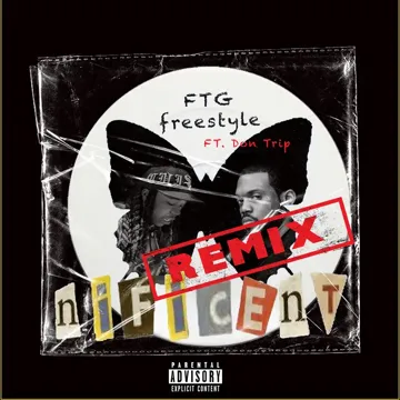 FTG (Remix)-cover