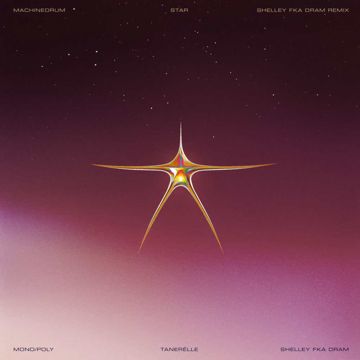 Star (Shelley FKA DRAM Remix) [feat. Mono/Poly]