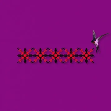 Ластівки-cover