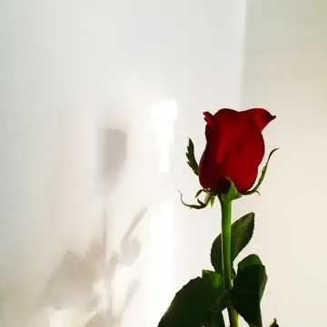LESS THAN THREE (feat. Lil Happy Lil Sad)-cover
