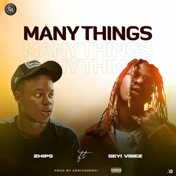 Many things-cover