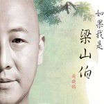 如果我是梁山伯-cover