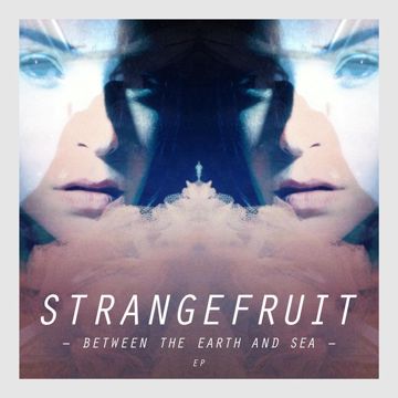 Strange Fruit-cover