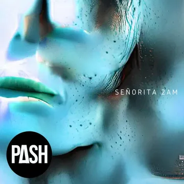 Señorita 2AM-cover