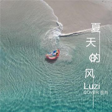 温岚-夏天的风（Luzi remix）-cover
