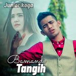 Bamandi Tangih