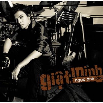 Tinh Yeu Vun Vo-cover