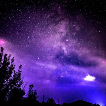 Алия (Арина)