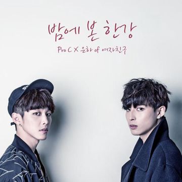 밤에 본 한강-cover