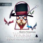 Wicked Wonderland(Olly Hence Radio Edit)(Radio Edit)-cover
