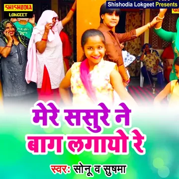 Mere Sasure Ne Bag Lagayo Re (Hindi)-cover