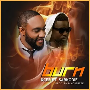 Burn-cover
