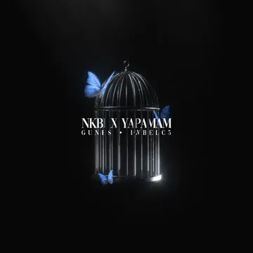 NKBİ X YAPAMAM (Remix)-cover