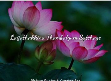 LAIJATHAKKINA THAMBALGUM SHORT BY BIDYAKARAM-cover