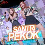 Santri Pekok-cover
