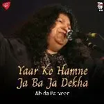 Yaar Ko Hamne Ja Baja Dekha-cover