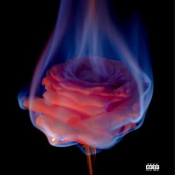 up to u.-cover