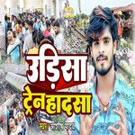 Udisha Train Hadasa-cover