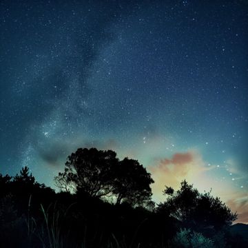 Everything, Always, Forever