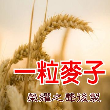一粒麥子