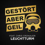 Leuchtturm-cover