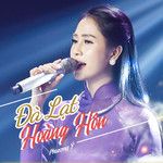 Một Chuyến Bay Đêm