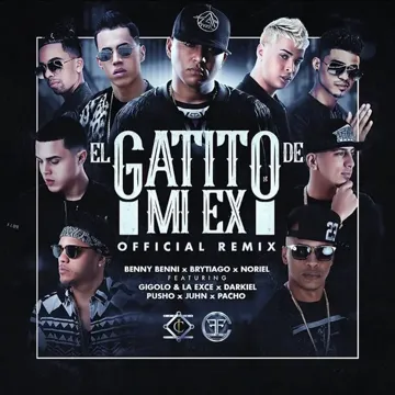 El Gatito de Mi Ex (Remix)-cover