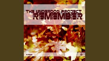 The Underdog Project - Remember +-cover