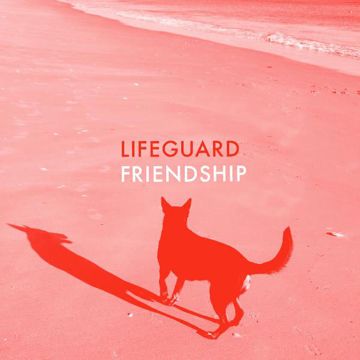 Friendship