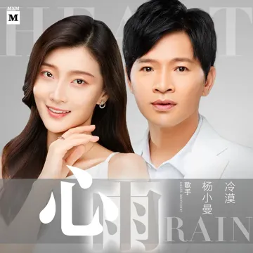 心雨（DJ沈念版）-cover