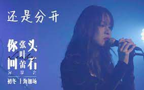 还是分开【晓宇H】-cover