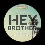 Hey Brother (TEEMID & Tessa Rose Jackson Cove)-cover