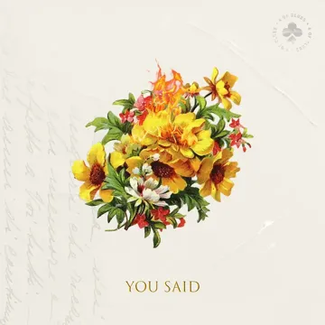 You Said-cover
