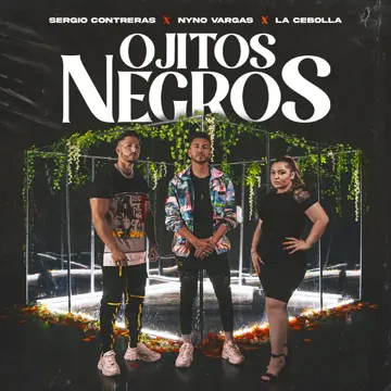 Ojitos Negros-cover