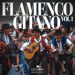 Magia gitana-cover