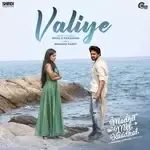 Baby-cover