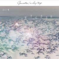 Floating Under The Moonshine-cover